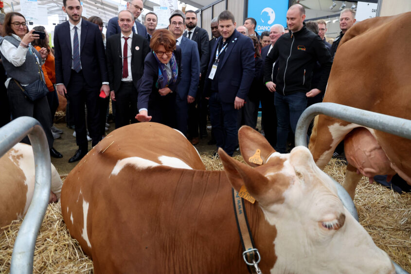 Salon de l’agriculture 2025 : ce qui change pour cette nouvelle édition