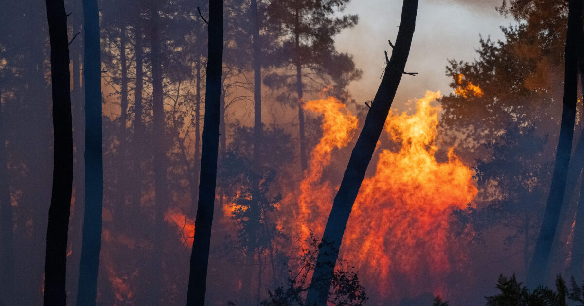 Dans le sud-ouest en feu, la multiplication des évacuations face aux « deux ogres de l'été »