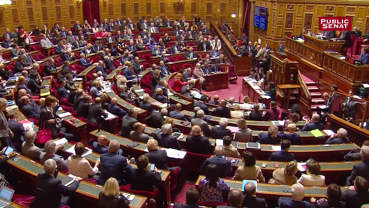 Réforme du Parlement une « course à l’échalote » entre le Sénat et l’Assemblée ? Public Senat Réforme du Parlement une « course à l’échalote » entre le Sénat et l’Assemblée ? Public Senat