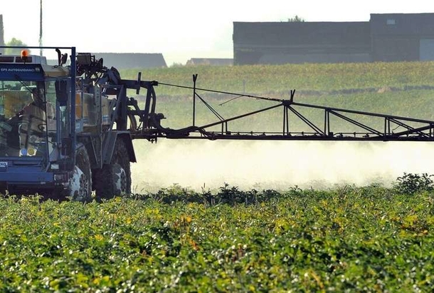 Pesticides épandus dans les vignes
