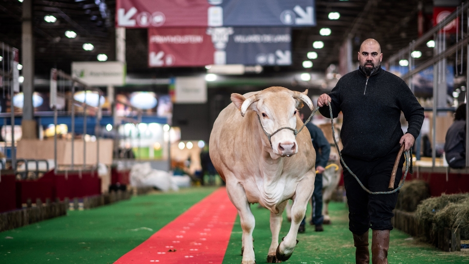 Annulation du salon de l'Agriculture 2021 les sénateurs