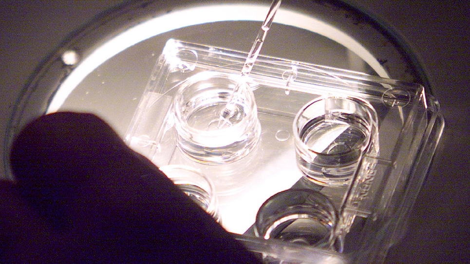 Sous les applaudissements, l'Assemblée nationale a à nouveau voté mercredi soir l'ouverture de la PMA à toutes les femmes, mesure phare du projet de loi bioéthique examiné en deuxième lecture