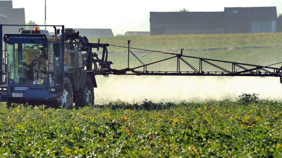 Pesticides épandus dans les vignes