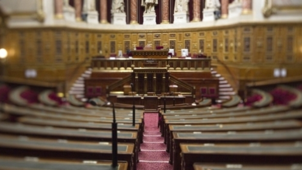 senat senat