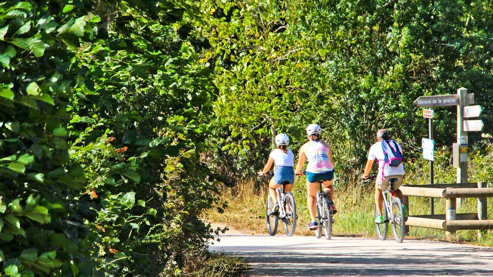 Autopartage, covoiturage, vélo, marche… Un rapport du Sénat imagine la mobilité du futur dans les territoires peu denses