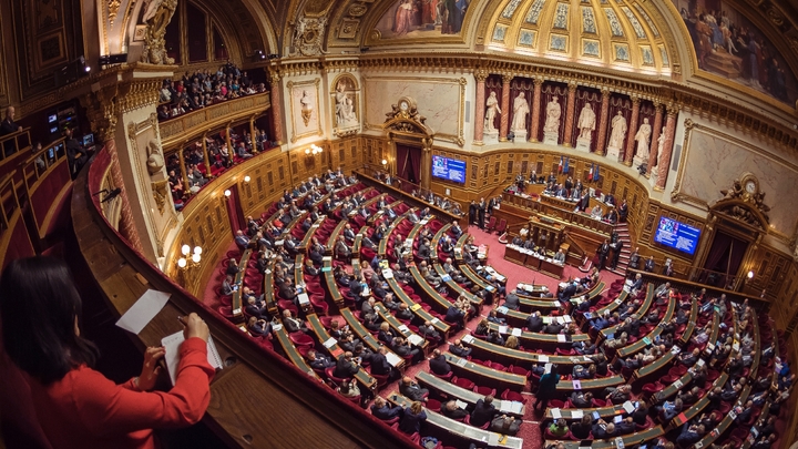 L'hémicycle du Sénat, à Paris, le 17 novembre 2016