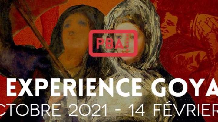 capture_goya.jpg capture_goya.jpg