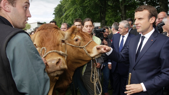 Le président français Emmanuel Macron lors d'une visite à Verneuil-sur-Vienne (Haute-Vienne), le 9 juin 2017 