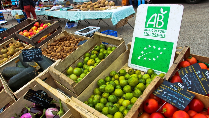 Paysan en agriculture biologique