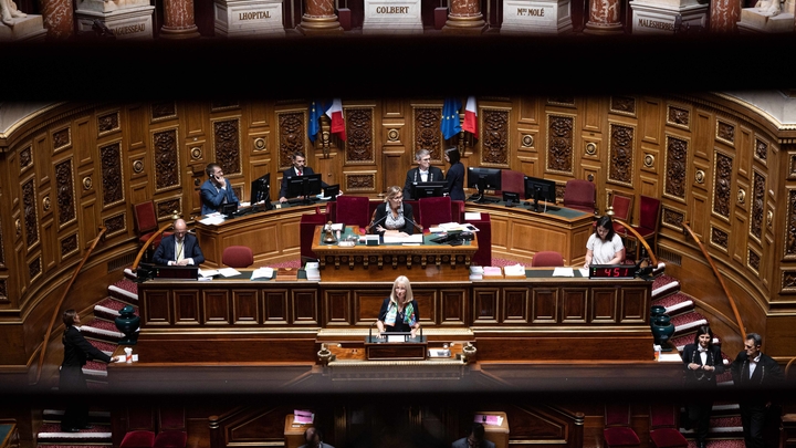FRANCE - DISCUSSION IN THE SENATE - POLITICS