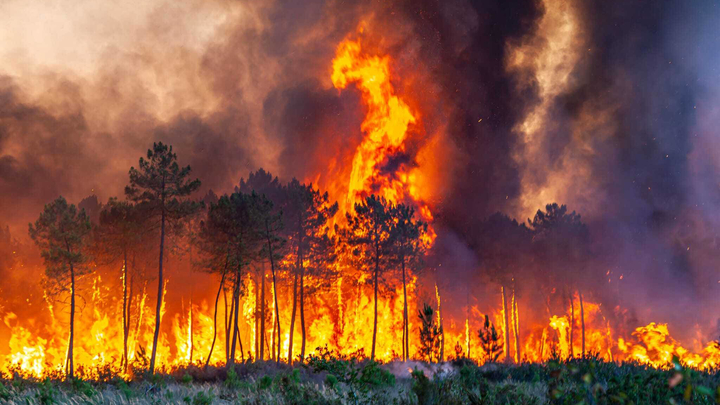 France Wildfires