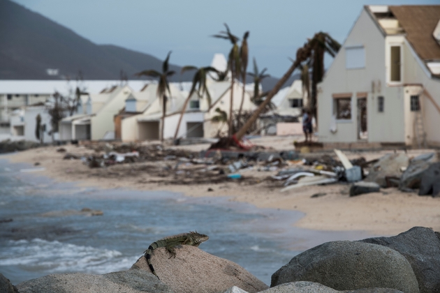 Une plage de Marigot dévastée par l'ouragan Irma, le 10 septembre 2017 sur l'île de Saint-Martin