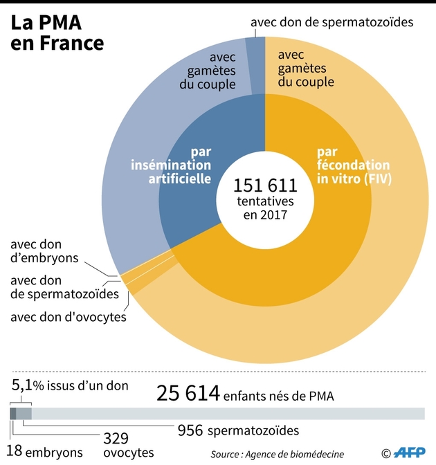 La PMA en France