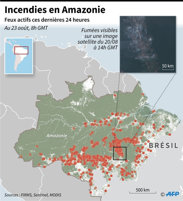 Incendies en Amazonie