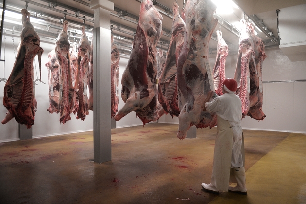 Un employé de l'abattoir de Haguenau le 21 juillet 2016.