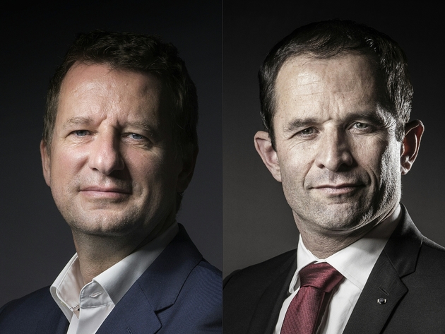 Un photomontage créé le 23 février de portrait de Yannick Jadot (g) et Benoît Hamon