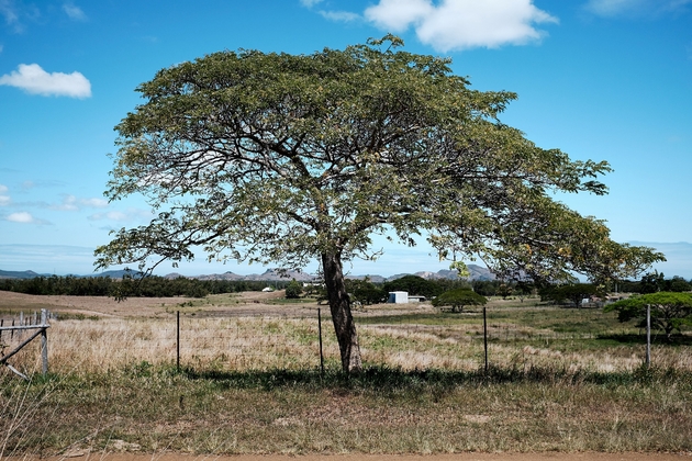 Photo prise sur la propriété de Gérard Pasco, nouveau président de la Chambre d'agriculture de Nouvelle-Calédonie