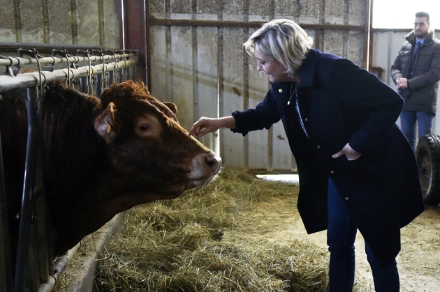 La présidente du FN Marine Le Pen lors de la visite d'une ferme à Cambes (sud-ouiest), le 4 mars 2017 