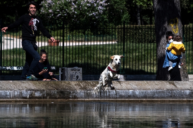 Un chien saute dans le canal Saint-Martin, le 26 avril 2020 à Paris