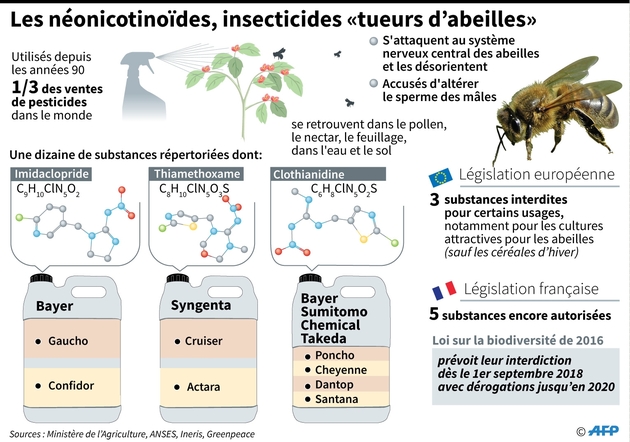 Les néonicotinoïdes, insecticides 