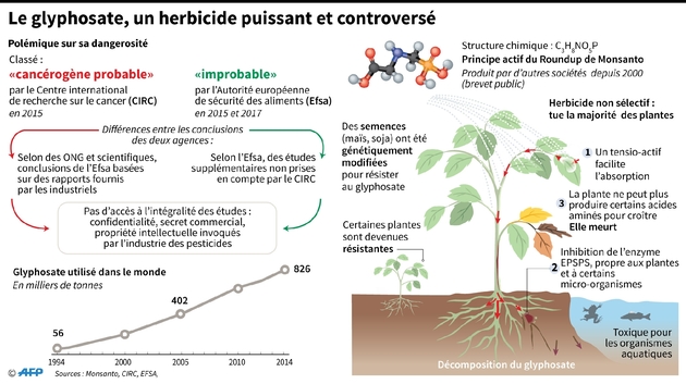 Le glyphosate