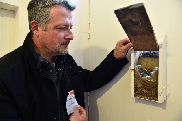 Jean-Christophe Rouxel, maire de La Lande-Chasles, la plus petite commune du Maine-et-Loire, montre un nid installé dans une boîte aux lettres de la mairie, le 7 mai 2017. 