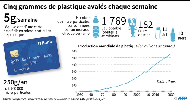 Cinq grammes de plastique avalés chaque semaine