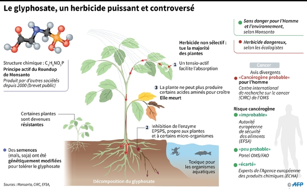 Données sur le glyphosate, qui doit être interdit en France pour tous les usages d'ici 2022.
