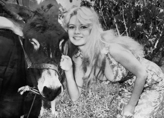 L'actrice française Brigitte Bardot pose pour un 