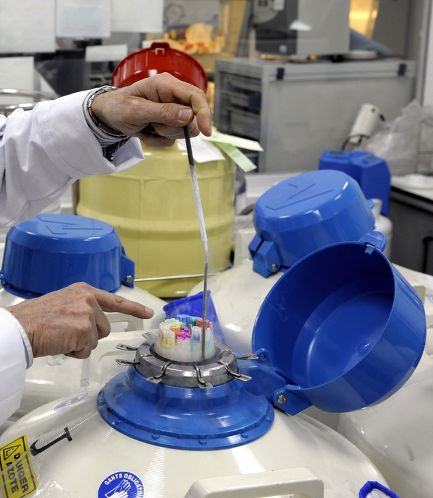 Des échantillons de sperme conservés dans des cuves d'azote liquide au Centre d'étude et de conservation des oeufs et du sperme (CECOS) à l'hôpital Femme-Mère-Enfant de Lyon le 25 Mars 2010