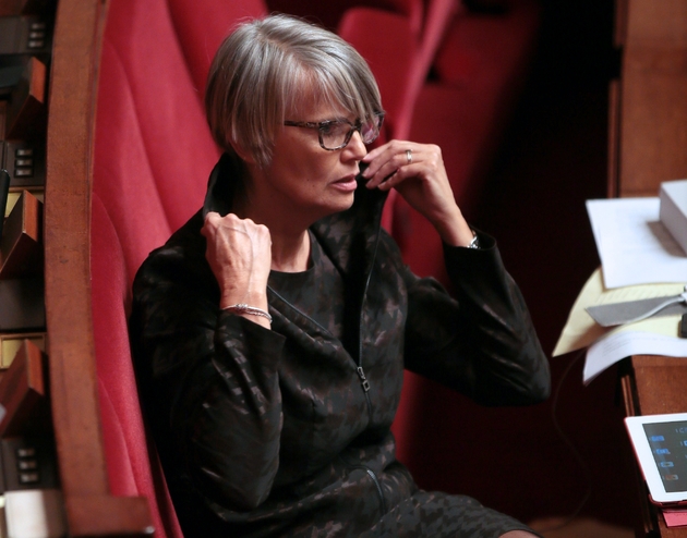 La députée écologiste Véronique Massonneau à l'Assemblée nationale le 29 janvier 2013