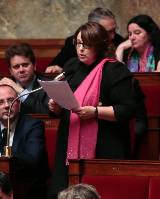 Sophie Errante, élue à l'époque sous l'étiquette Socialiste, radical, citoyen et divers gauche, à l'Assemblée nationale le  juillet 2014