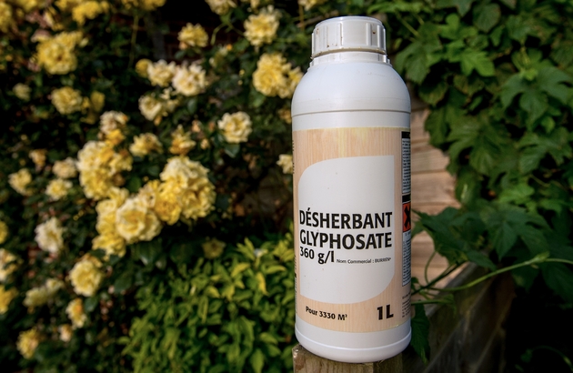 es modalités de mise en œuvre du calendrier d’élimination progressive des pesticides, dont le glyphosate, seront précisées 