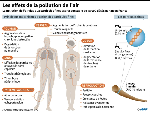 Les effets de la pollution de l'air