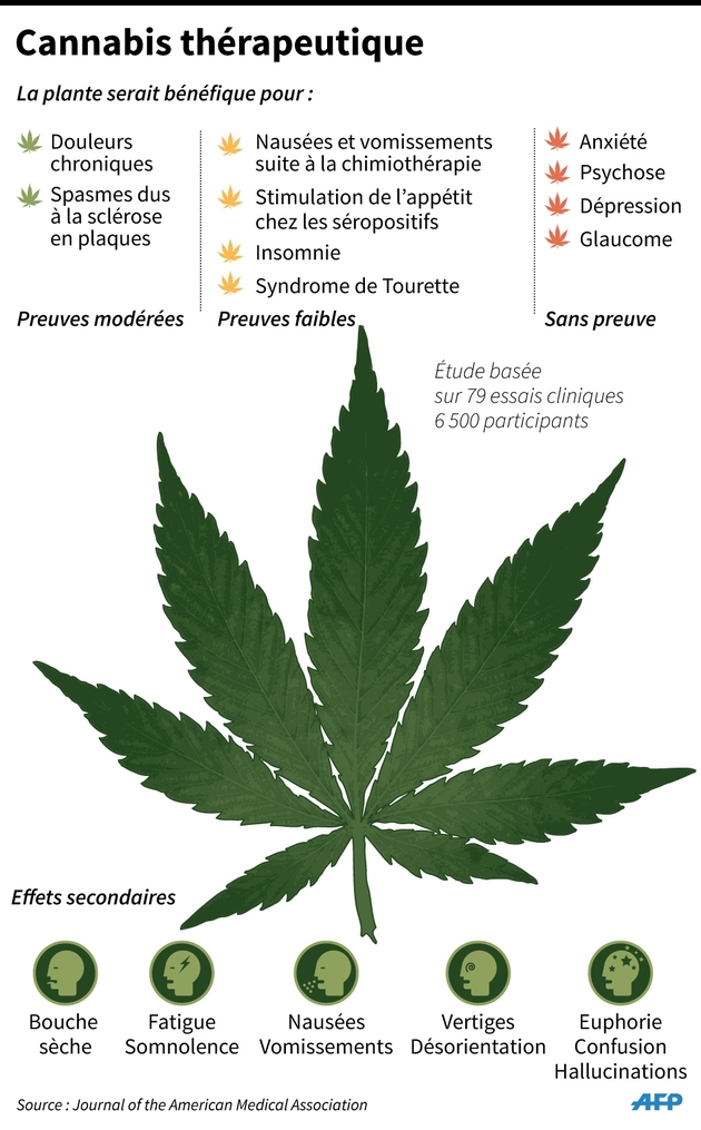 Cannabis thérapeutique