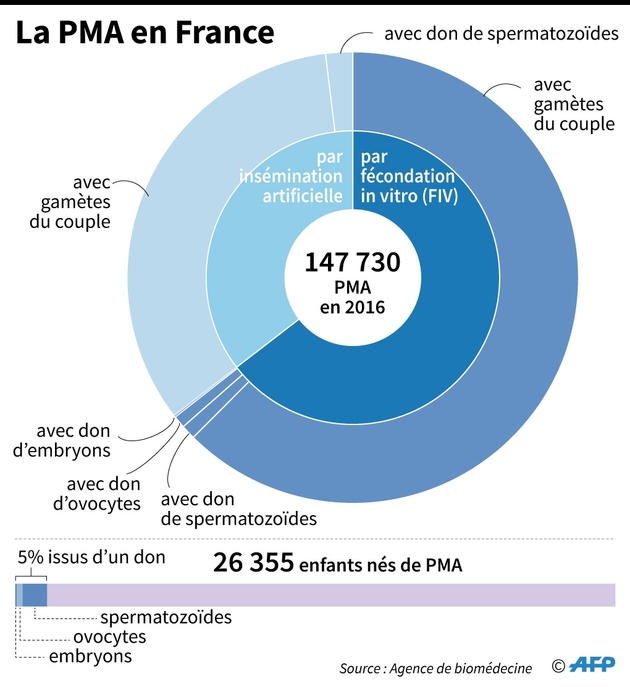 Près de 150 000 PMA en France