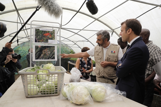 Le président français Emmanuel Macron visite une ferme autour du thème de la pollution au chlordécone, à Morne Rouge en Martinique le 27 septembre 2018