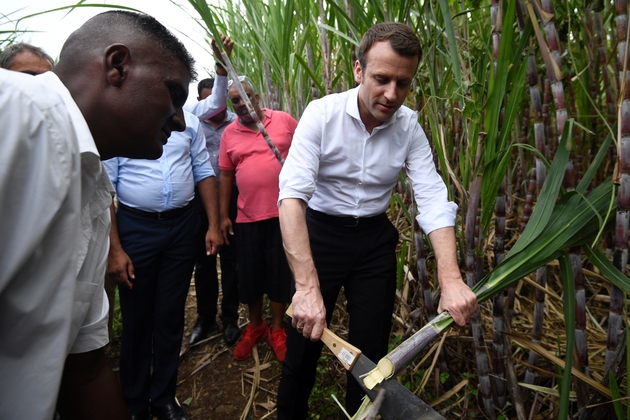 Emmanuel Macron coupe du bambou avec une machette, le 25 mars 2017 près de saint-Leu sur l'île de la Réunion