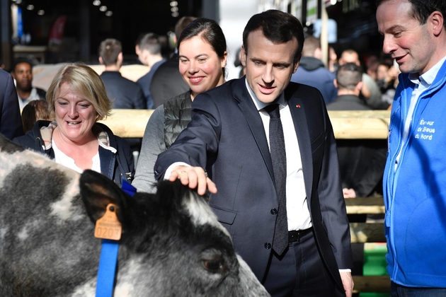Emmanuel Macron caresse une vache lors de sa visite au salon de l'Agriculture à Paris, le 23 février 2019