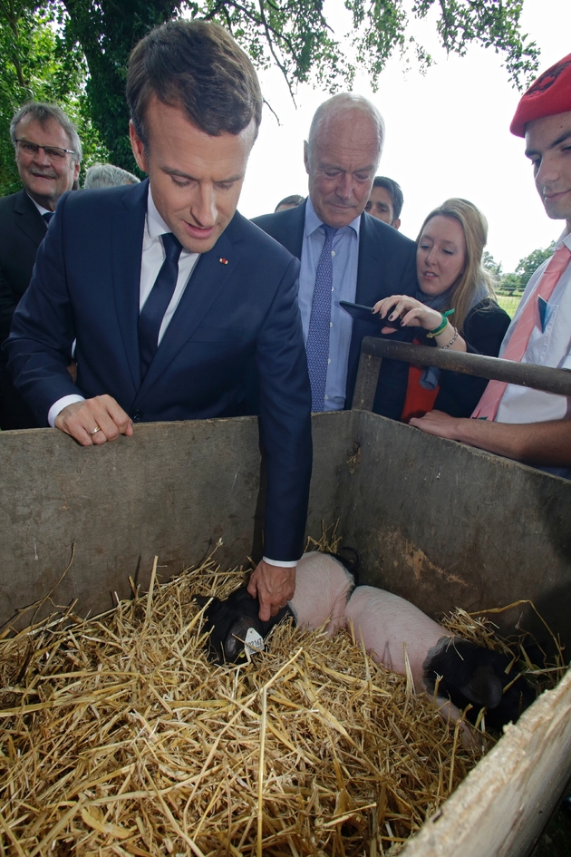 Le président français Emmanuel Macron lors d'une visite à Verneuil-sur-Vienne (Haute-Vienne), le 9 juin 2017 