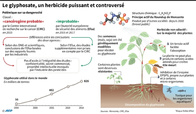 Le glyphosate