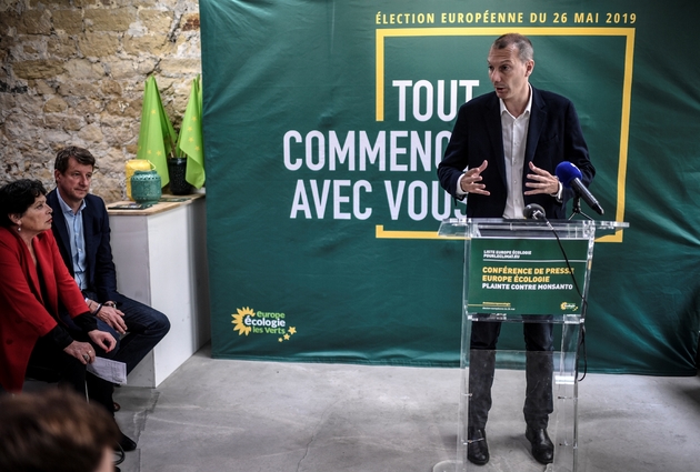 Le secrétaire national d'EELV David Cormand donne une conférence de presse au siège du parti à Paris, le 17 mai 2019