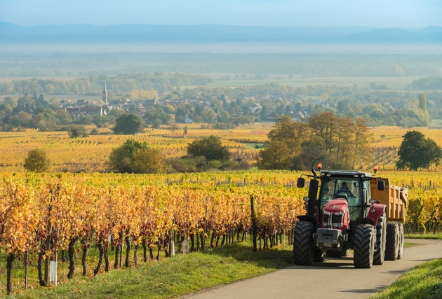 Un tracteur passe le long d'un champ de vignes à Heiligenstein, dans le Bas-Rhin, le 18 octobre 2017