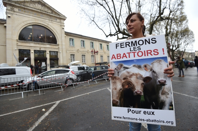 Une militante de l'association L214 lors d'une marche à Ales, le 23 mars 2017, à l'occasion de l'ouverture du procès de trois employés d'un abattoir