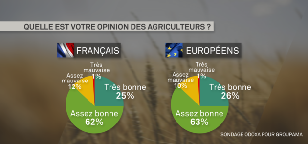 sondage_1.png