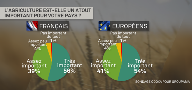 sondage_2.png