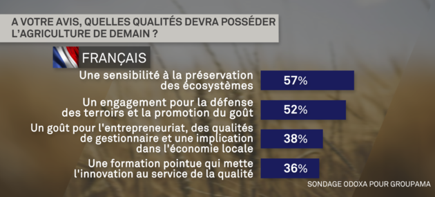 sondage_3.png