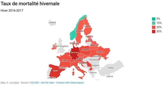 taux_mortalite_hivernale.jpg