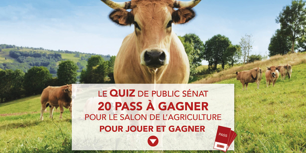 Quiz Salon de l'agriculture 2018