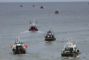 Port en Bessin: Capitale Normande de la Coquille St Jacques.
